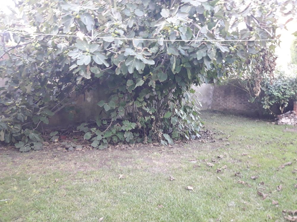 parque