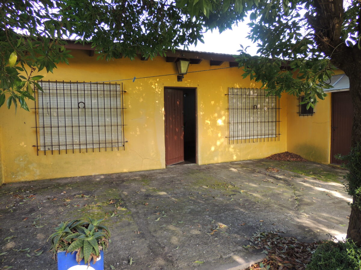frente