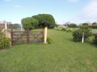 DSCN9876