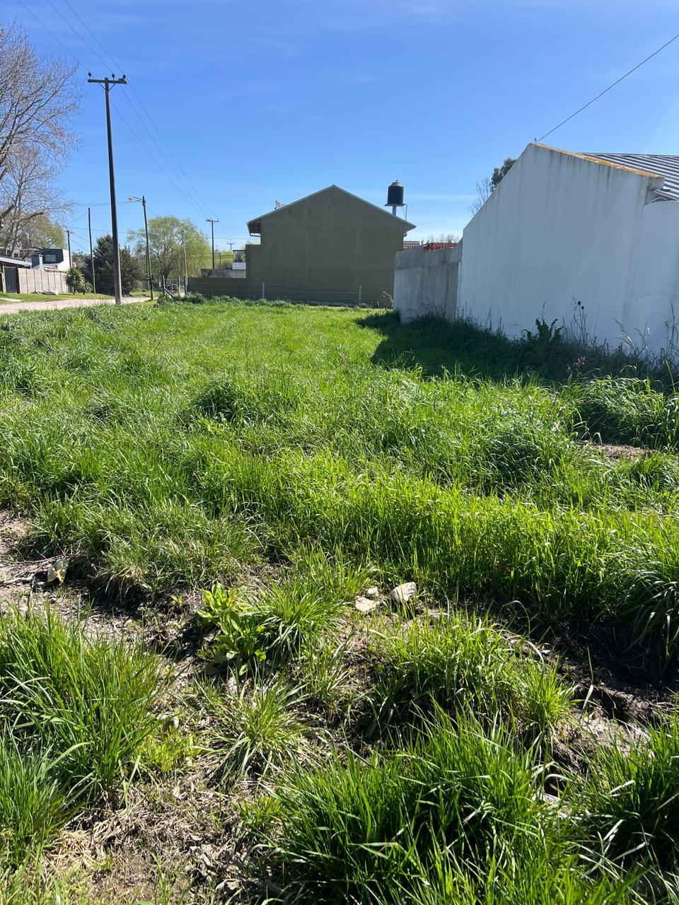 b1623c41-efa8-4553-a879-4f940839123a