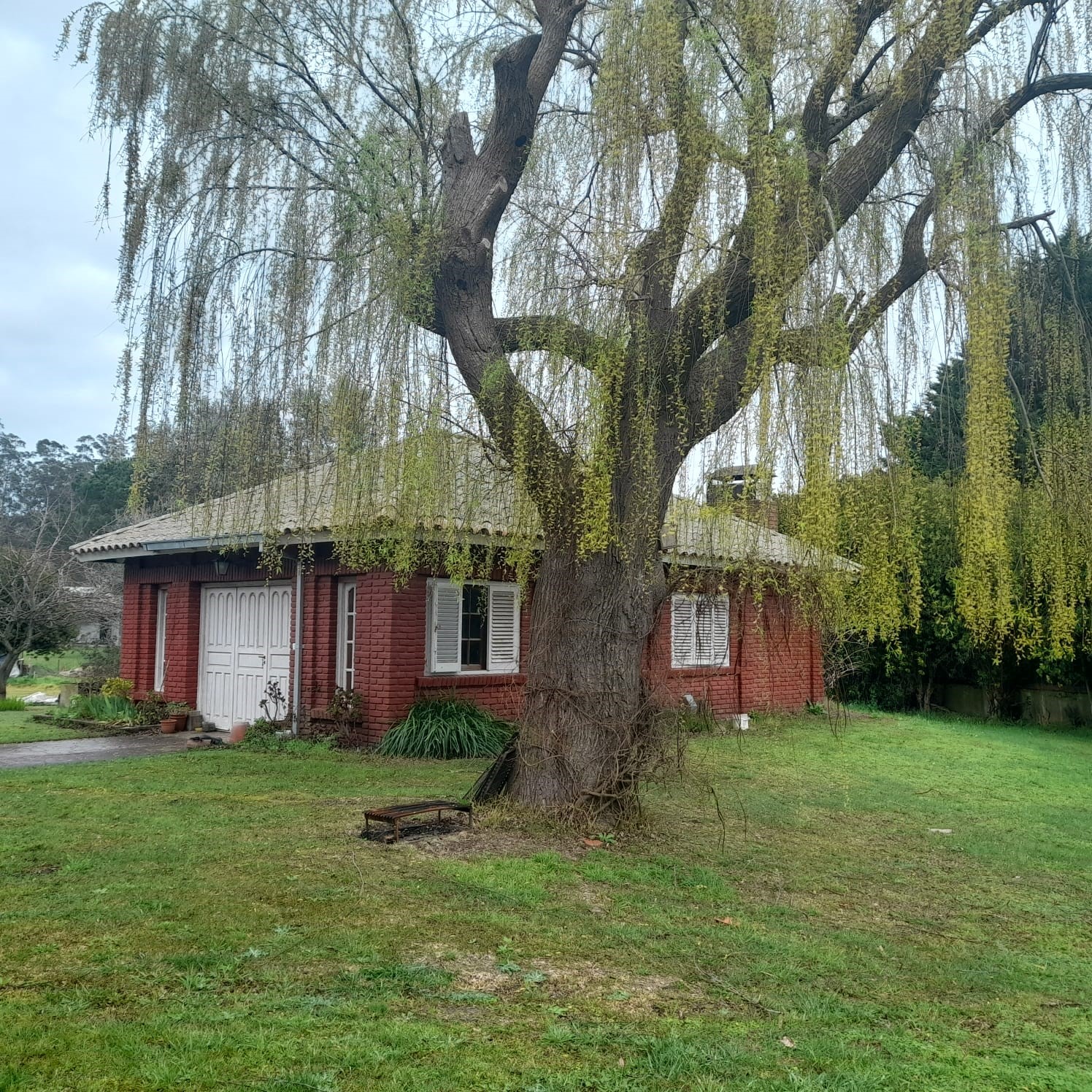 3b1e94d2-077f-4c67-95e2-c6753b82efd6