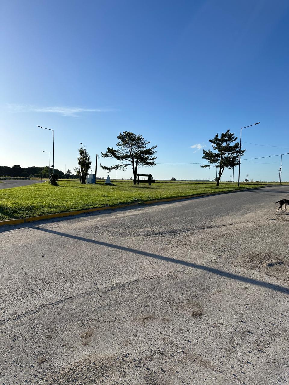 2dc1d1c5-0d24-484f-ae5e-e41c2475add8