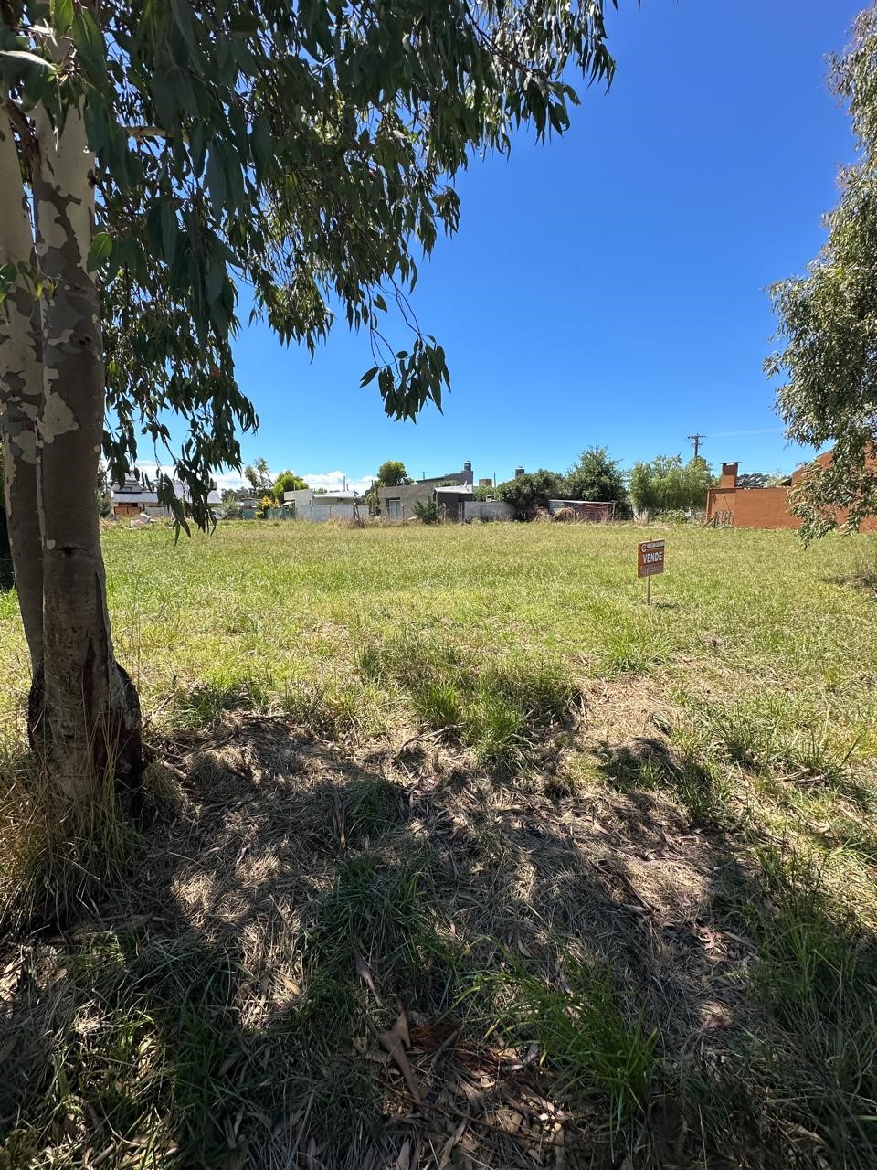 WhatsApp Image 2026-02-11 at 13.02.08