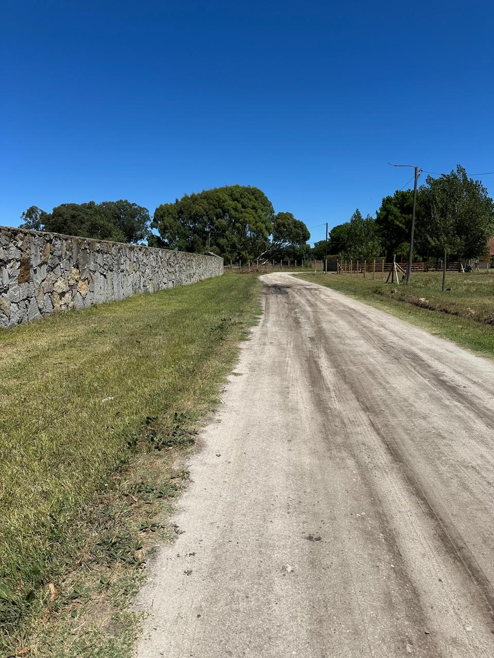 WhatsApp Image 2026-02-11 at 12.47.45