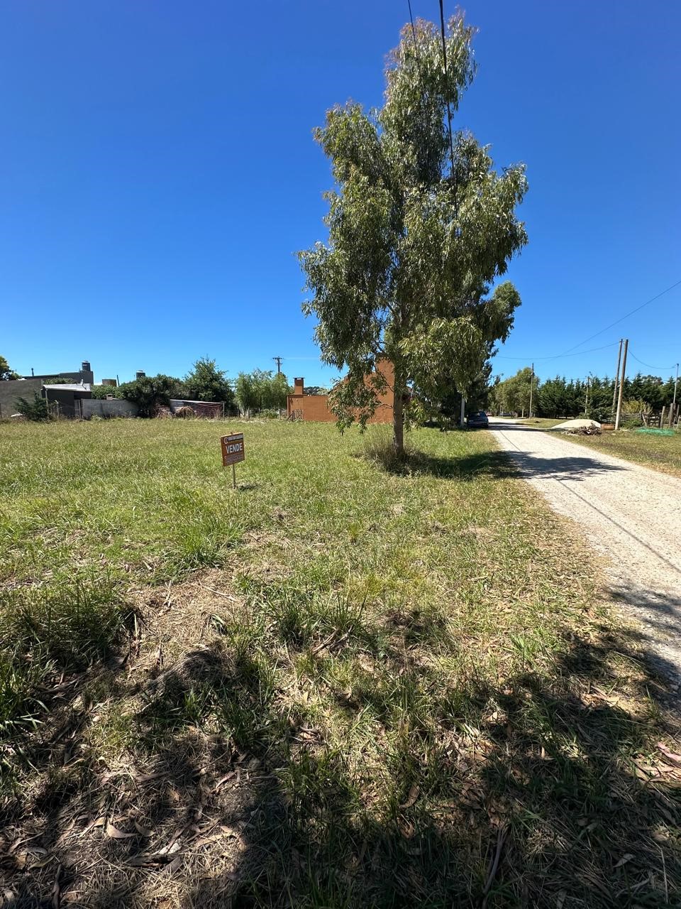 WhatsApp Image 2026-02-11 at 13.02.08 (1)