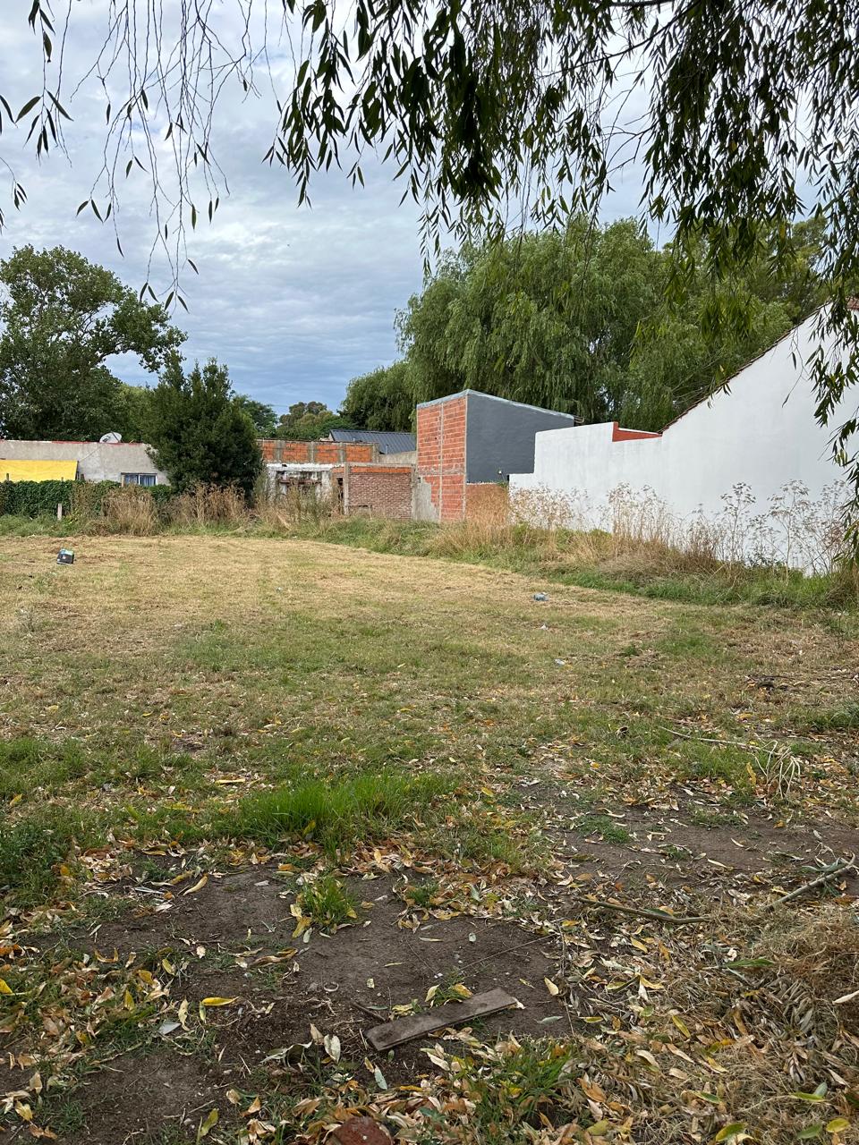 WhatsApp Image 2026-02-05 at 18.30.58 (9)