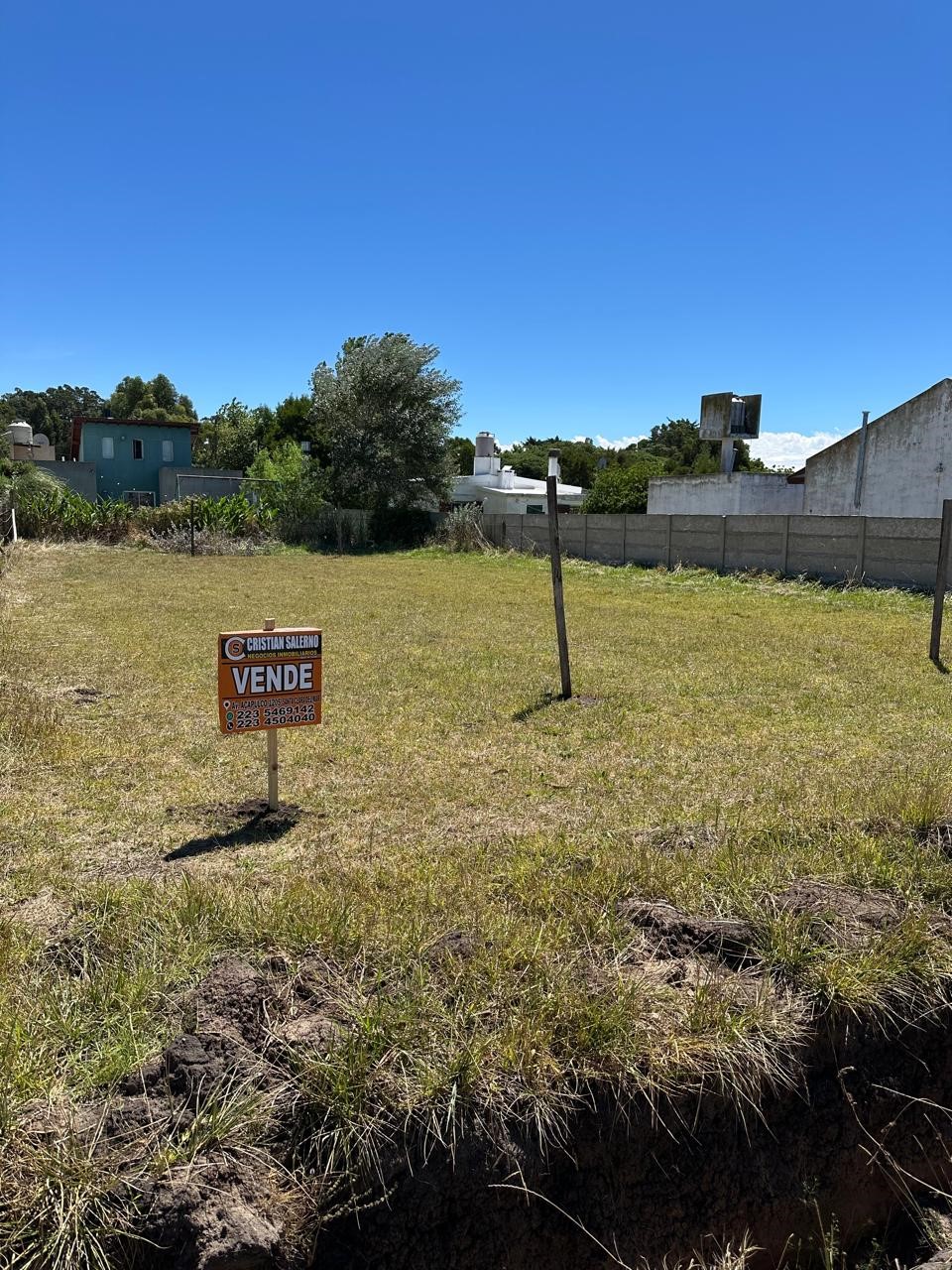 WhatsApp Image 2026-02-11 at 12.47.03