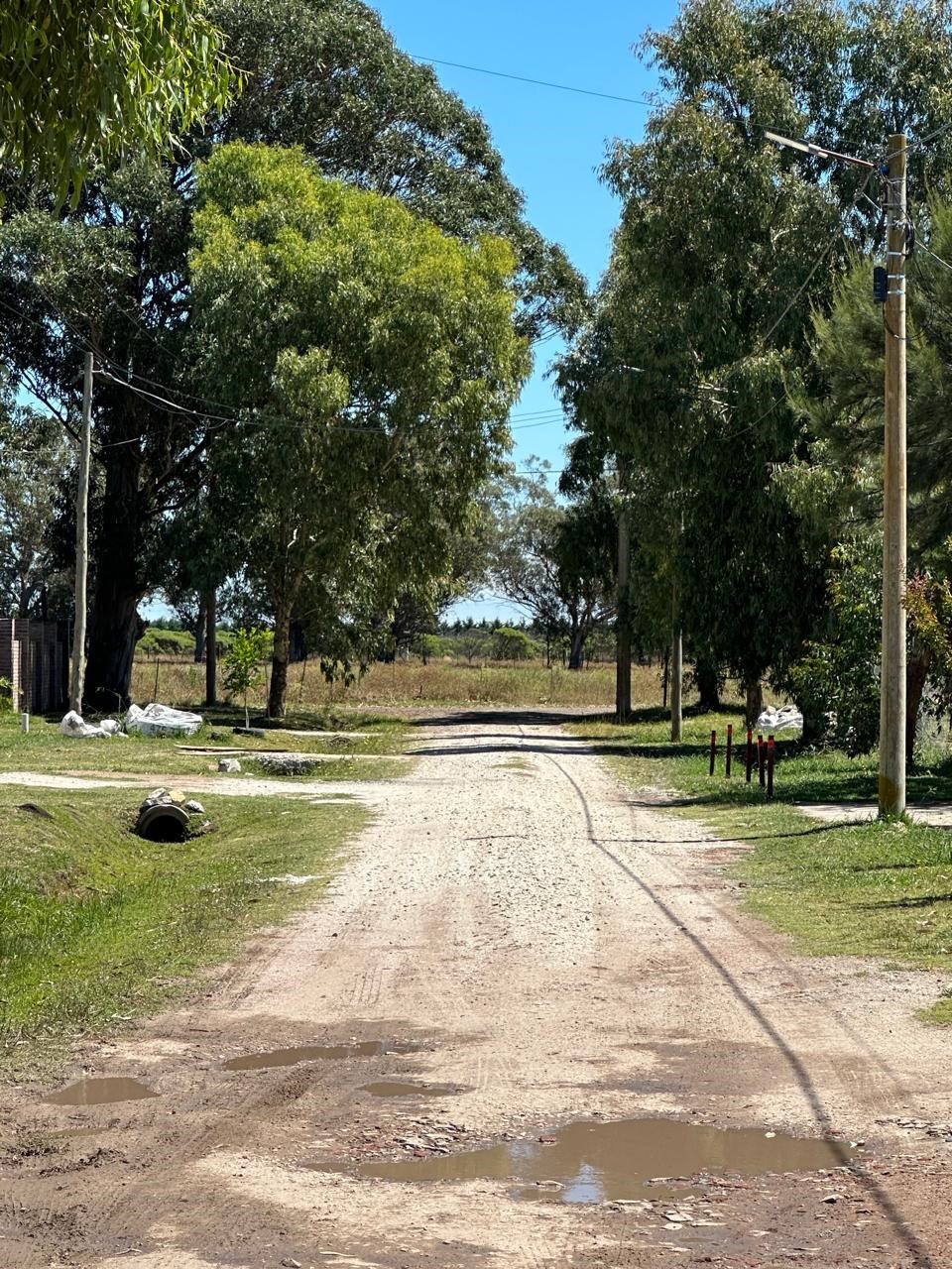 WhatsApp Image 2026-02-11 at 13.02.07 (2)