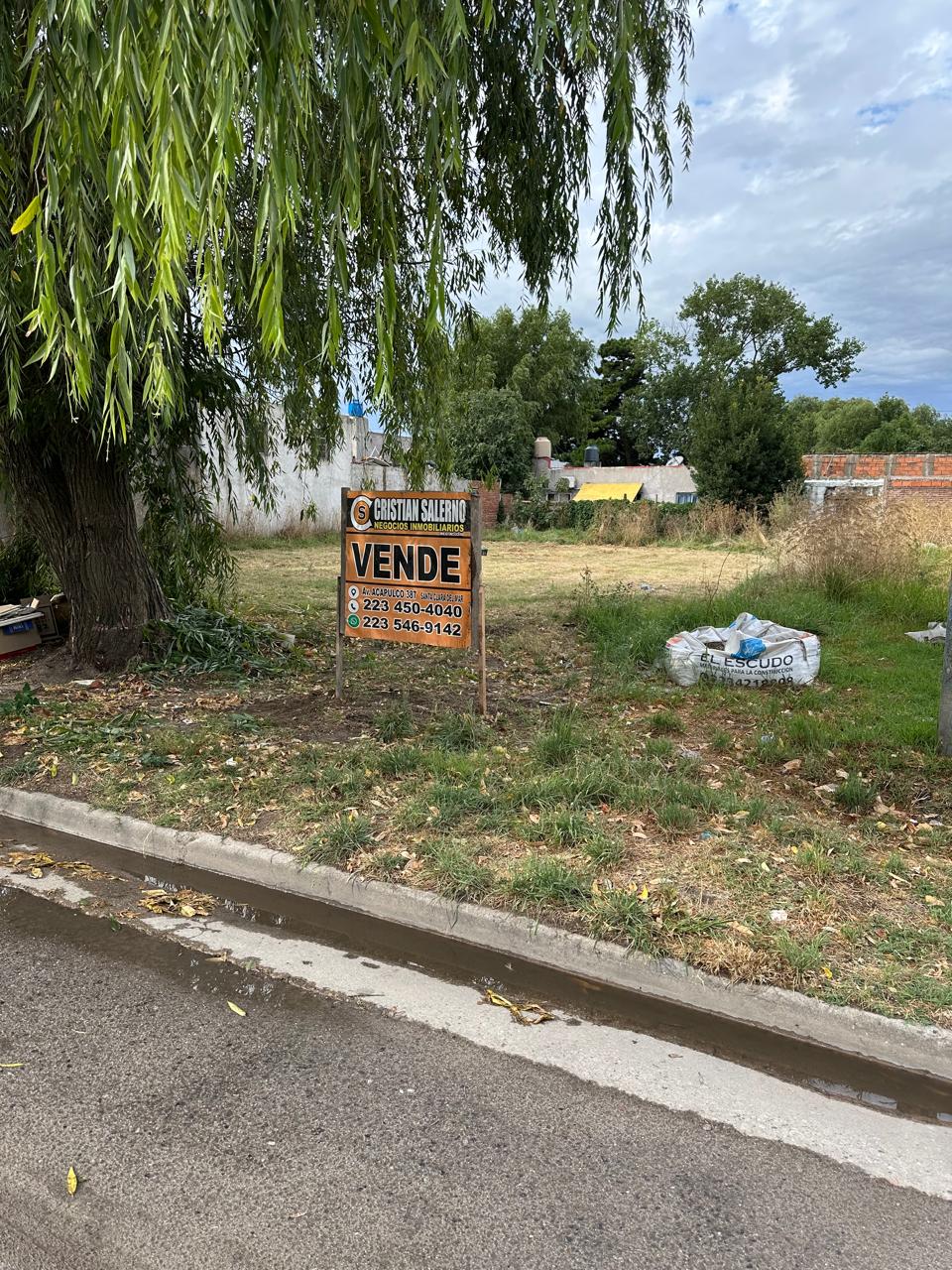 WhatsApp Image 2026-02-05 at 18.30.58 (8)