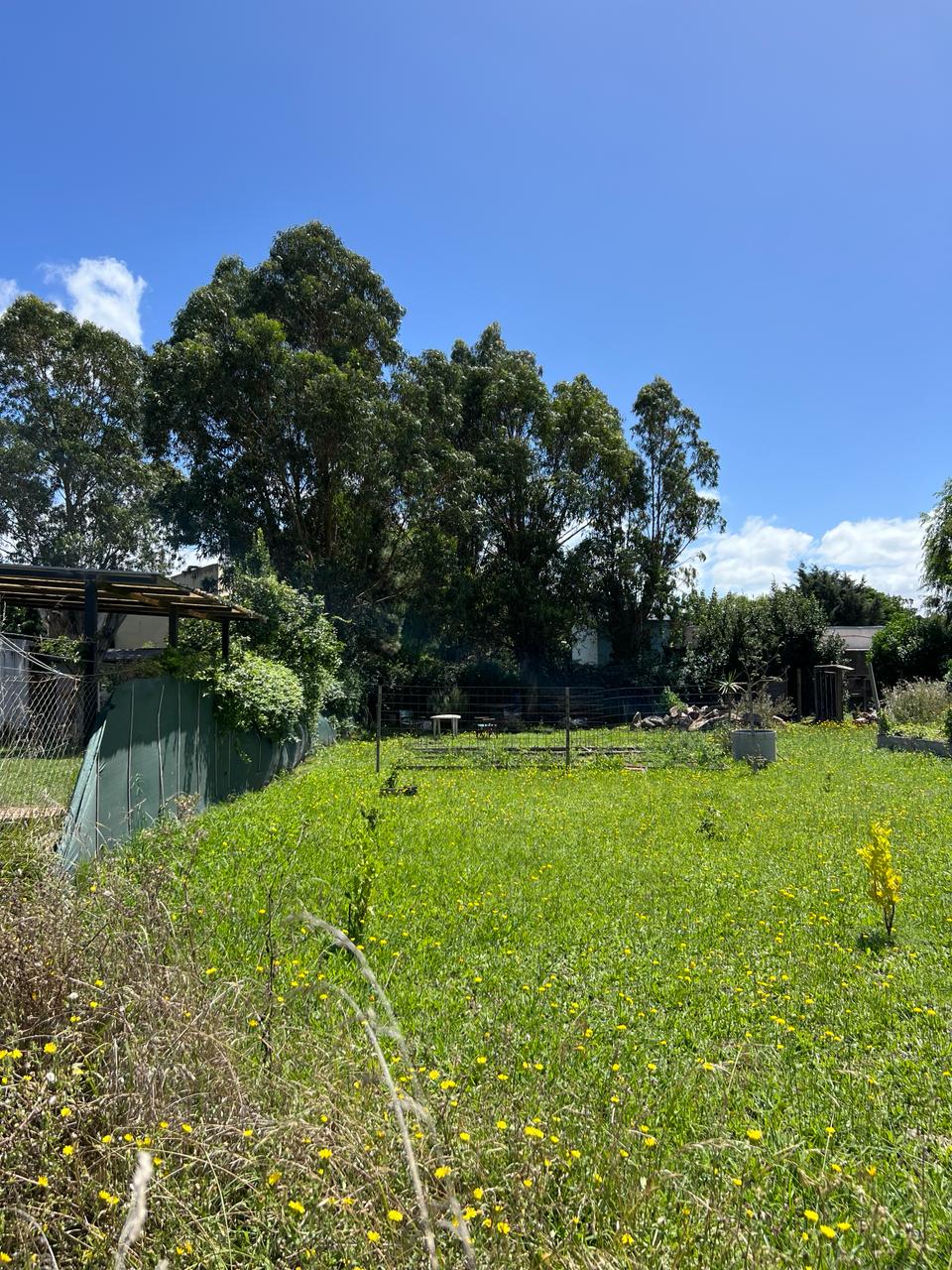 eab96cb9-aadd-41cf-89f6-129aefaeacdd